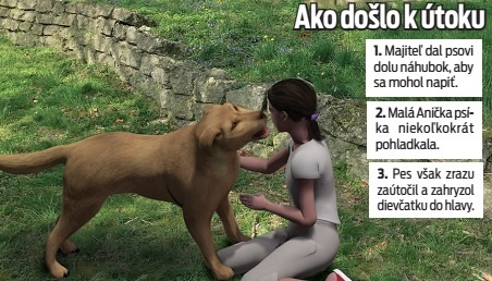 Ako došlo k útoku.