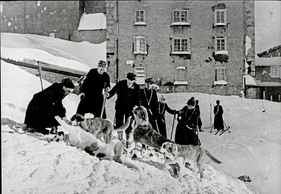 MNÍSI: Vyšľachtili bernardíny v alpskom kláštore.