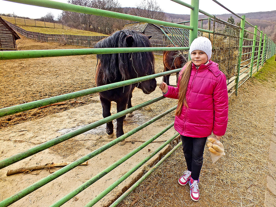 Nikola (9): Návštevou ZOO