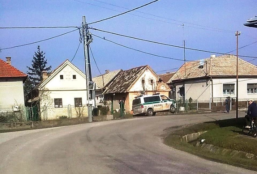 Policajti pri naháňačke narazili