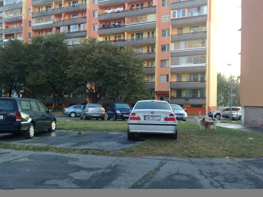 Tento ingorant opakovane parkuje