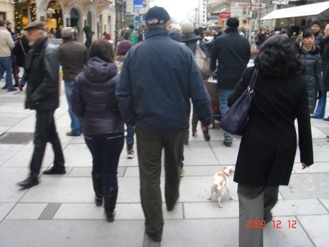 Guvernér slovenskej centrálnej banky