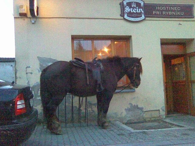 Osedlaný koník čakal na