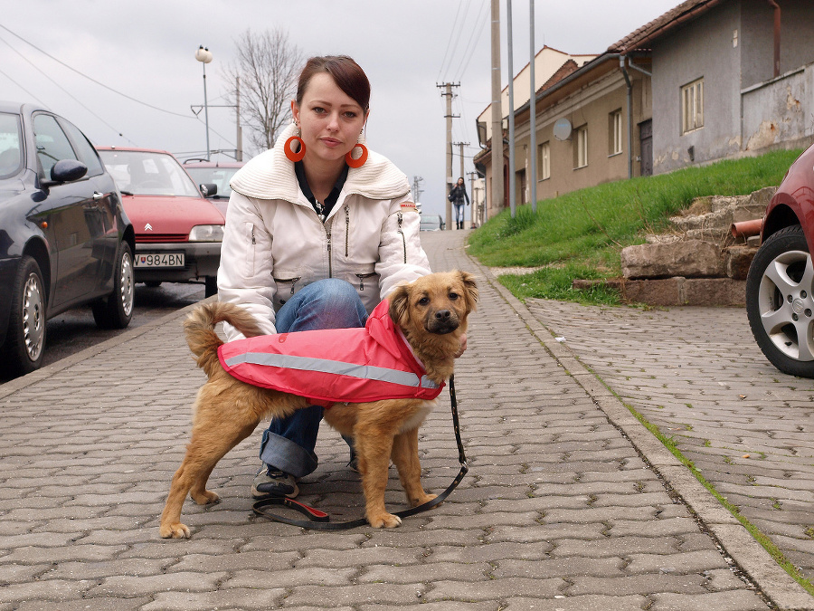 Džidži nemá domov, pochádza