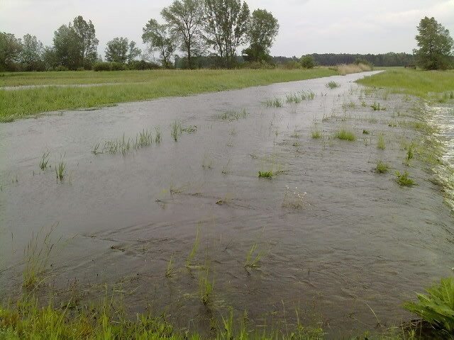 Rieka Rudava sa vyliala