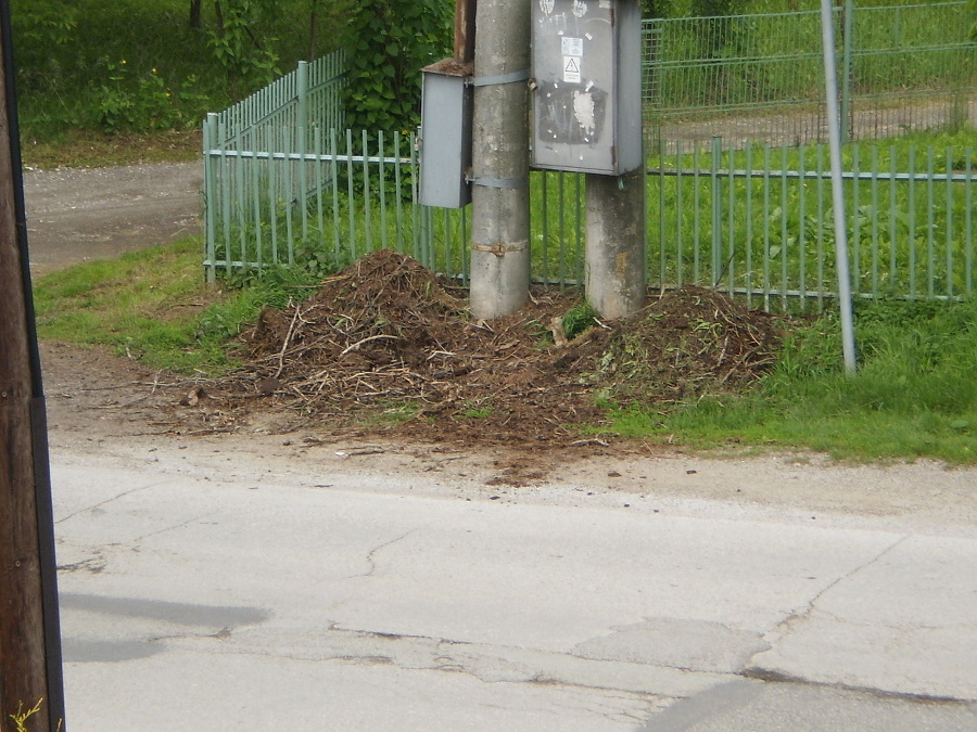 Zvyšky po zhorenom hniezde.