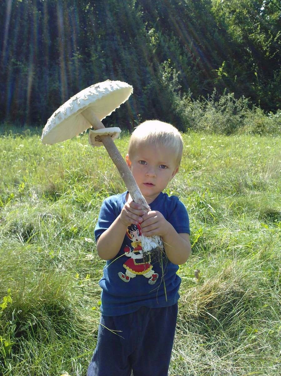 Kto je väčší? Hubár,