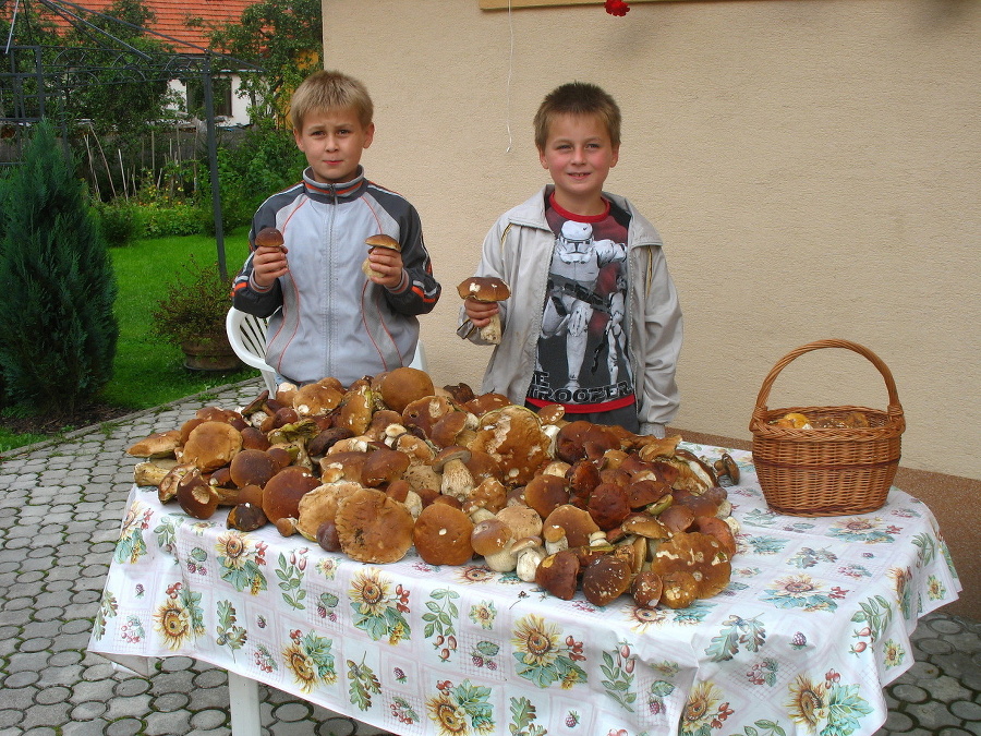 Maťko a Jakubko Bernikovci