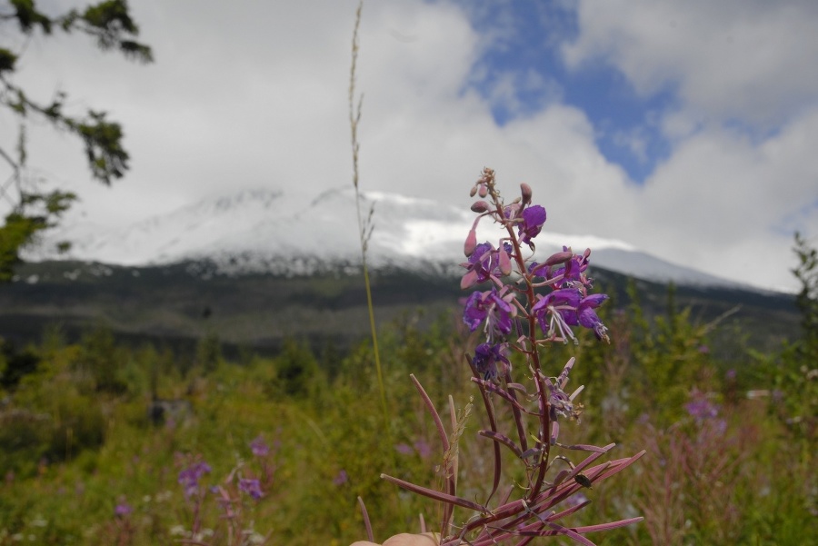 Tatry vhupli z leta