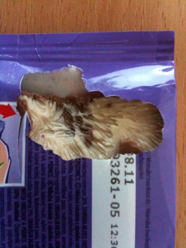 Čokoládu v hypermarkete načala maškrtná myš.