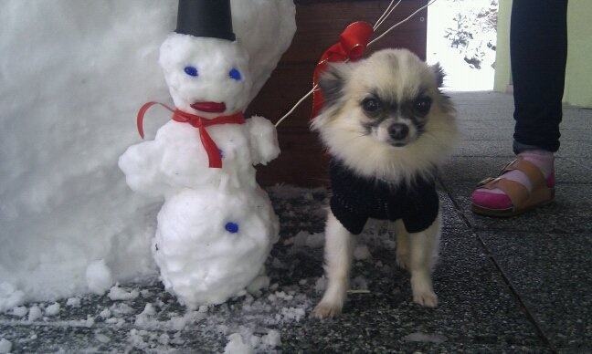 Snowmen a jeho bratmm