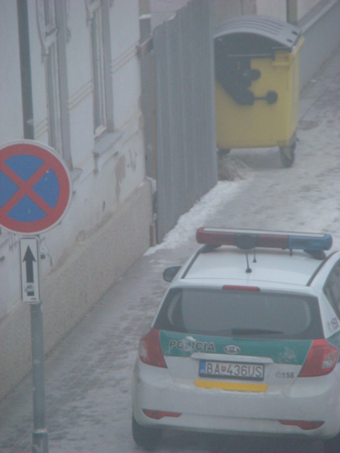 Policajti parkovali na zákaze