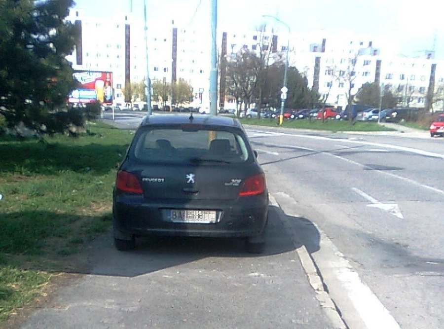 Chodci museli auto na