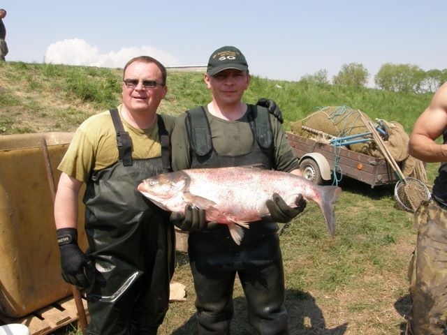 Rybári s 20-kilovým tolstolobikom.