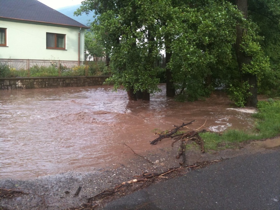 Sološnica po výdatnom daždi