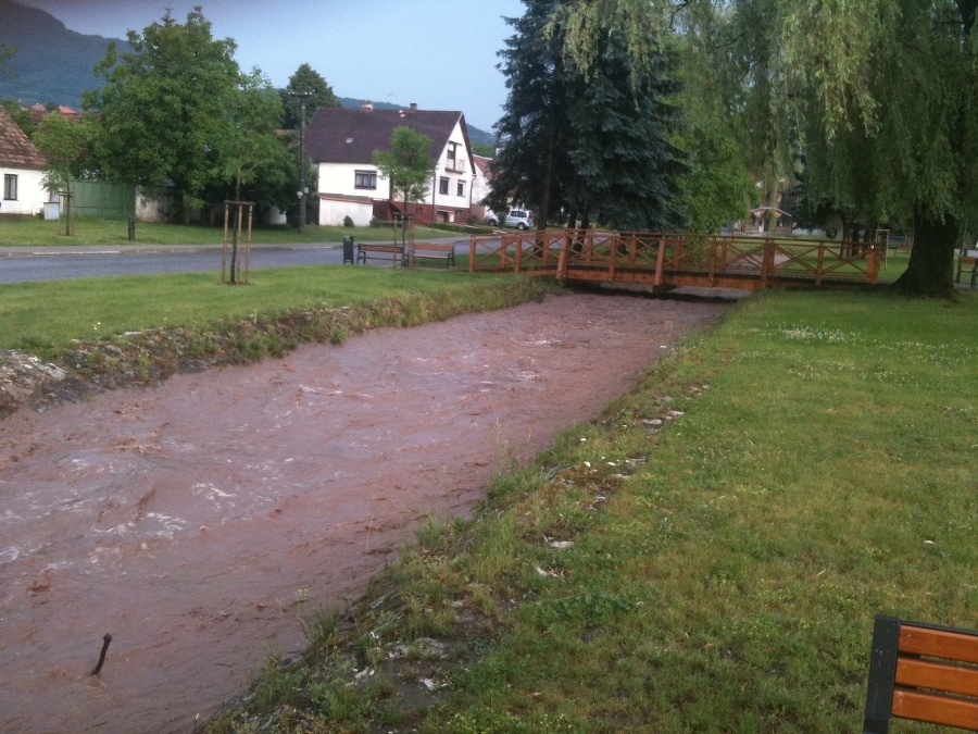 Sološnica po výdatnom daždi