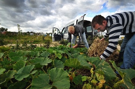 Britských farmárov prekvapila úroda,