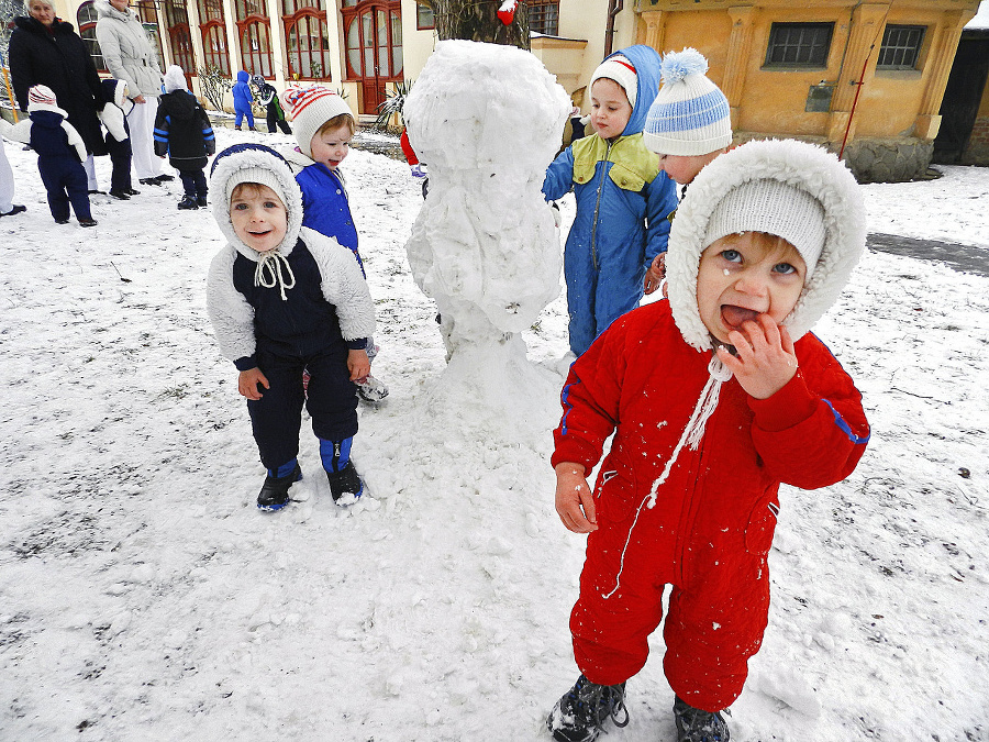 Miškovi Vígľašskému (2) bolo