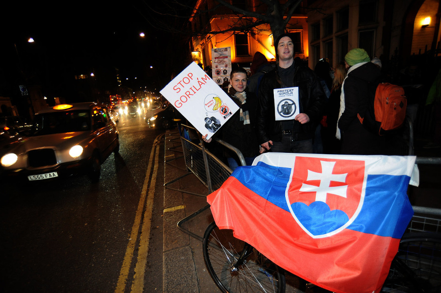 Slovenská vlajka na proteste