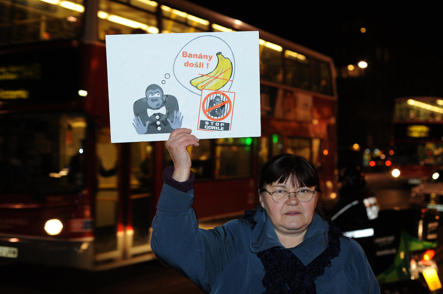 Protest v Londýne.