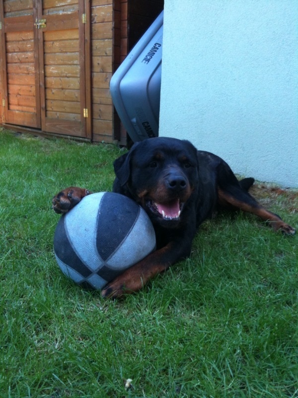 Basketbalistka Aida.