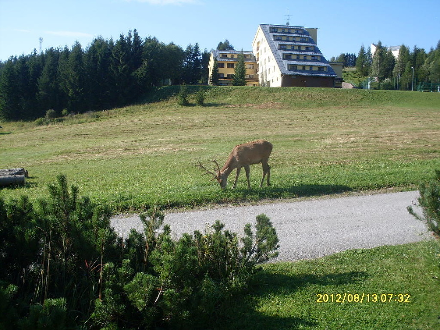 Turisti si už na