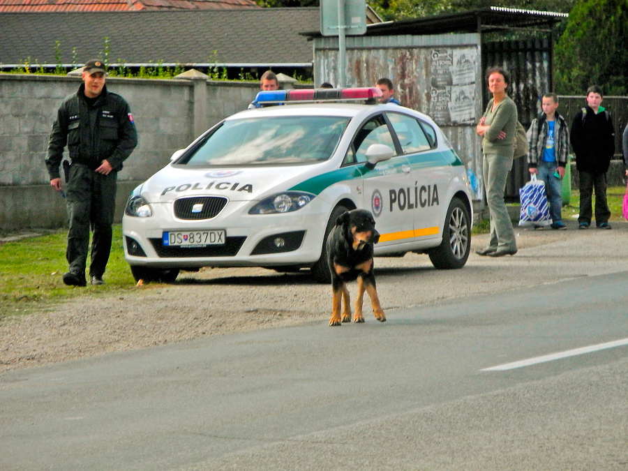 Polícia pri zásahu ochraňovala