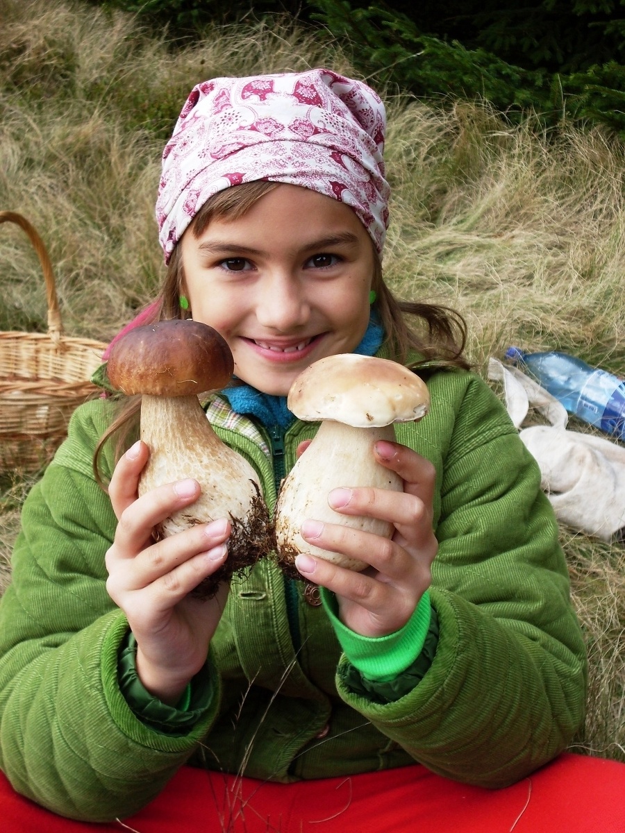 Západné Tatry chytili druhý