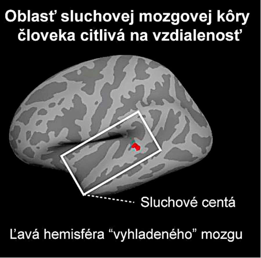 Infografika NČ.