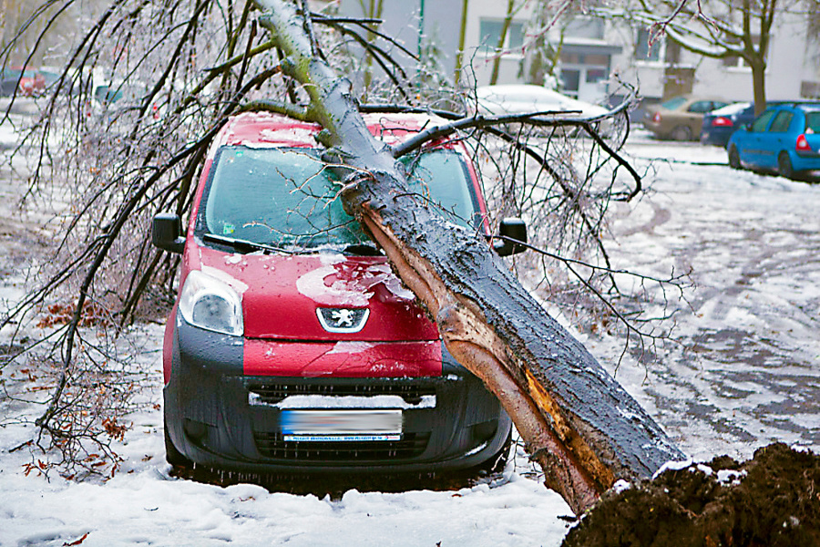 Stromy poškodili viac než