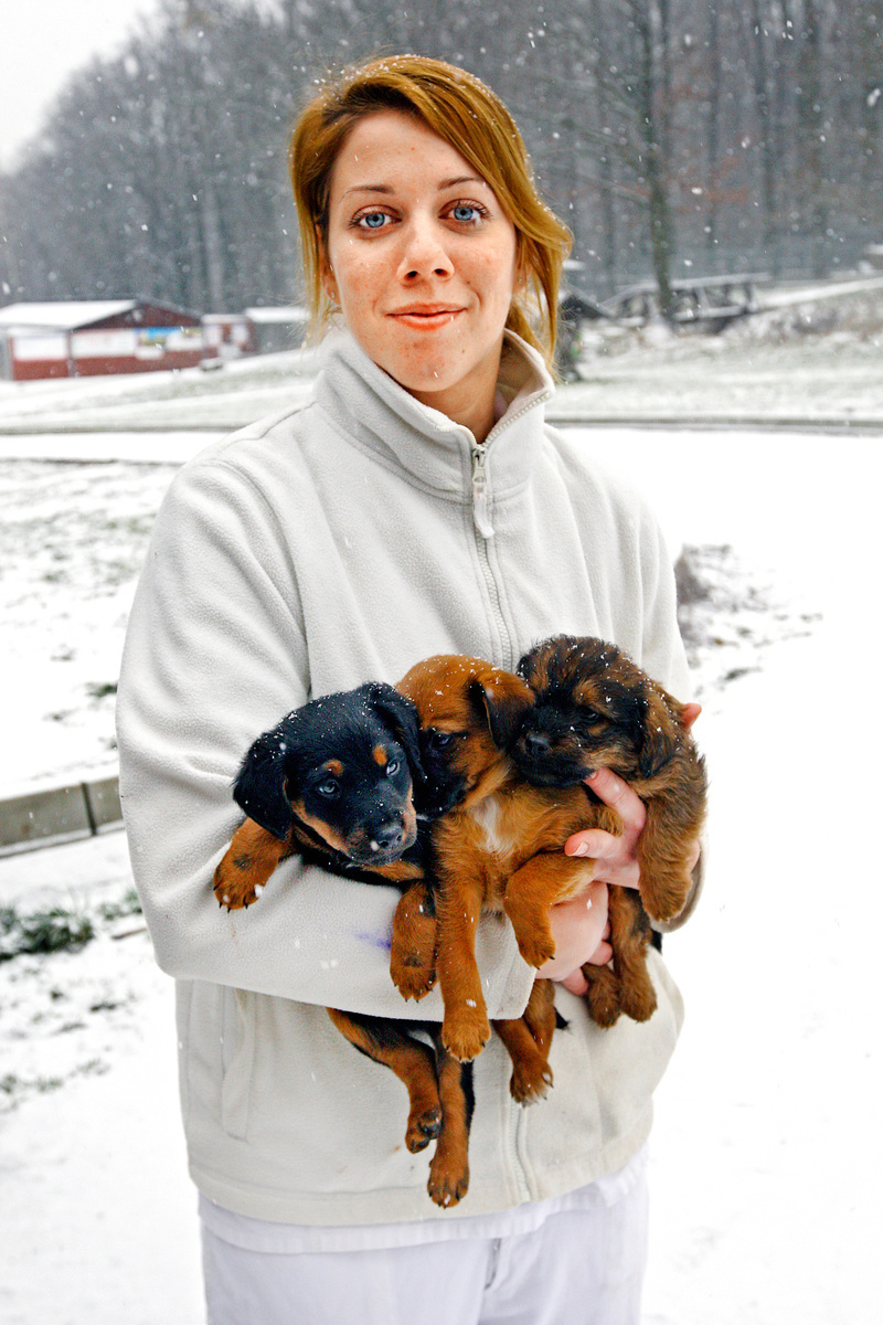 Veterinárka Radka (29) si trojicu šteniatok hneď zamilovala.