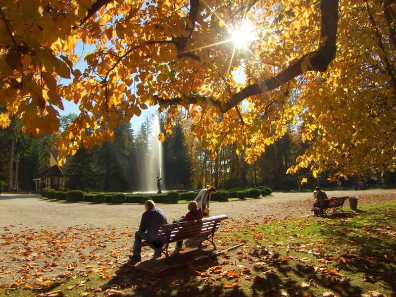 Slnkom zaliaty park v