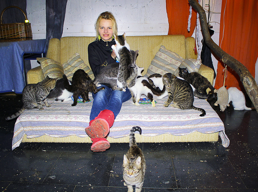 Mladá žena miluje mačky