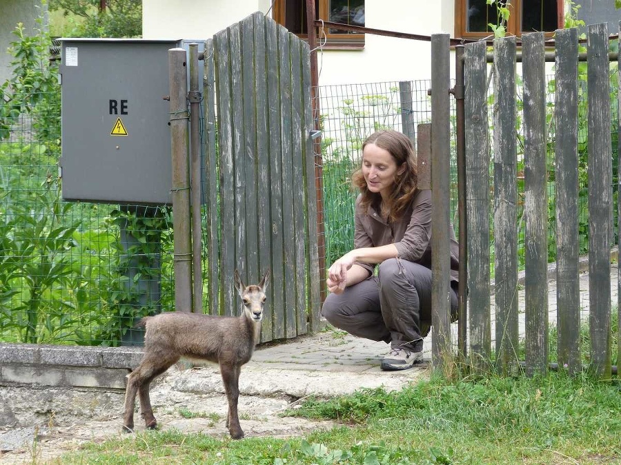 Strážkyňa Slovenského raja Slávka