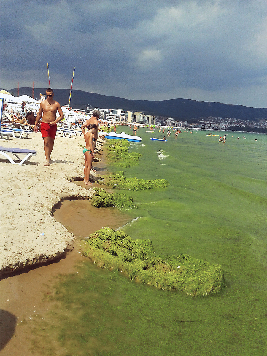 Bulharsko, Slnečné pobrežie, 4.8.2013: