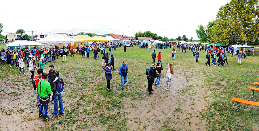 Stredoškoláci predviedli na festivale