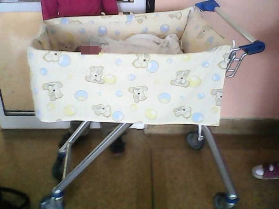 Novorodenci v nákupných vozíkoch