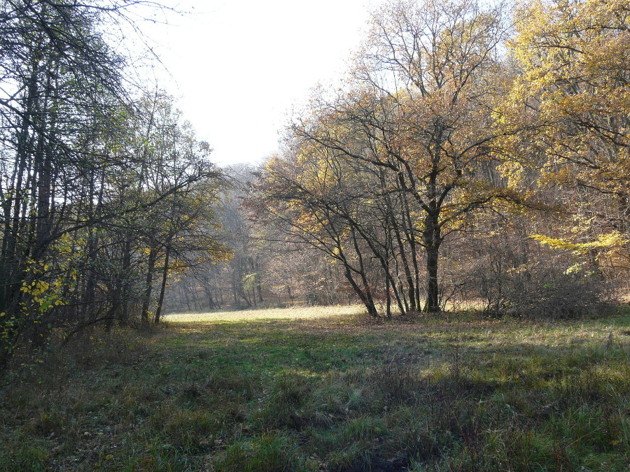 Jesenná príroda v Trstenej.