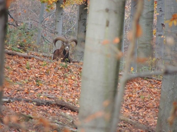 Jesenná príroda na Slovensku.