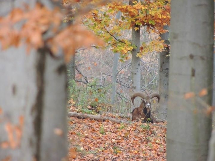 Jesenná príroda na Slovensku.