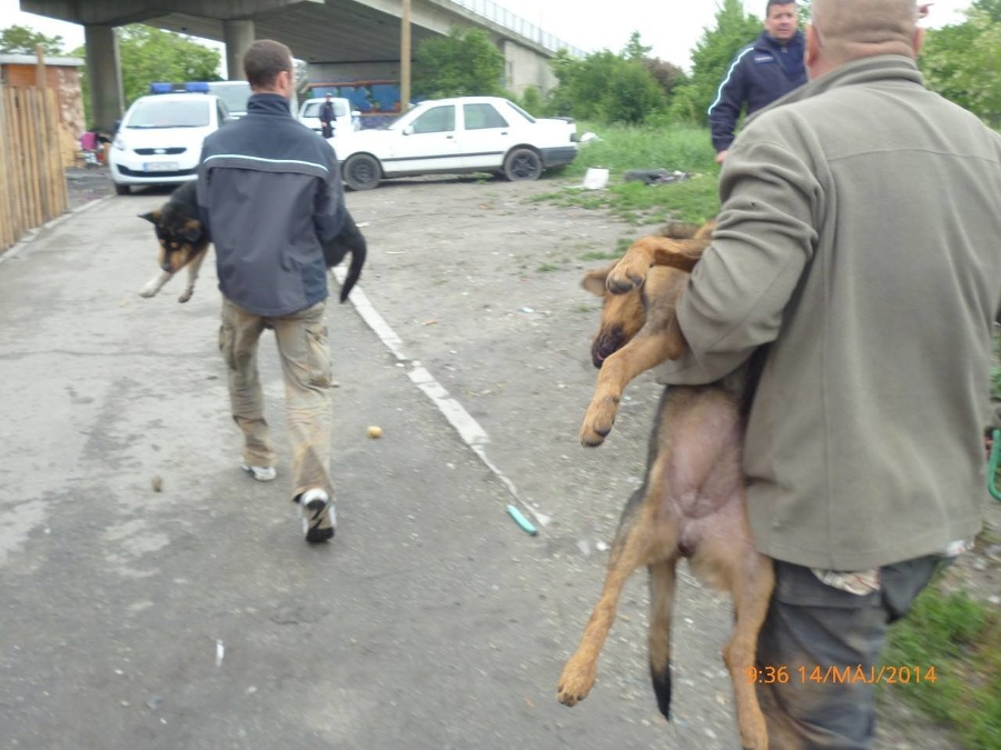 Policajtom sa nakoniec nebezpečný