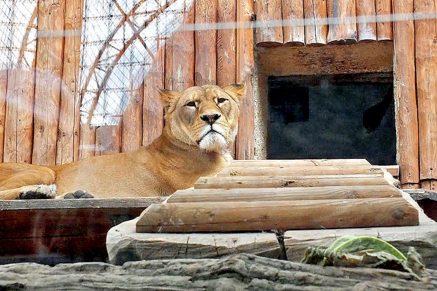 Kráska z olomouckej ZOO