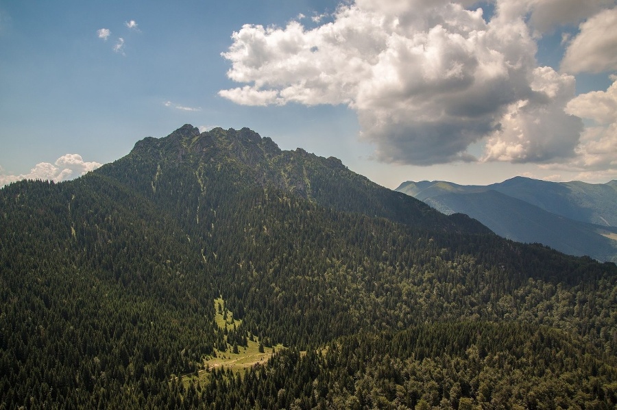 Takéto fotografie si odniesla