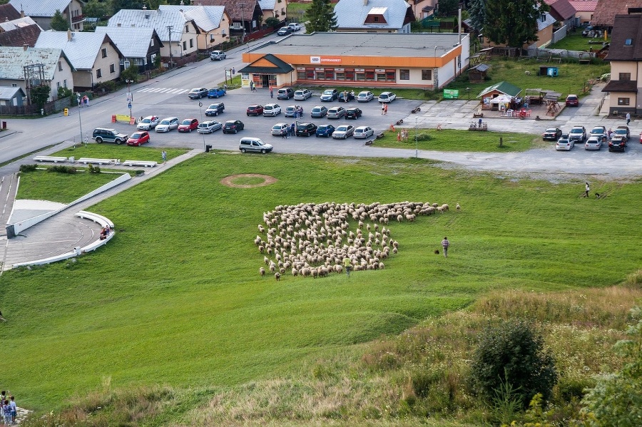 Takéto fotografie si odniesla