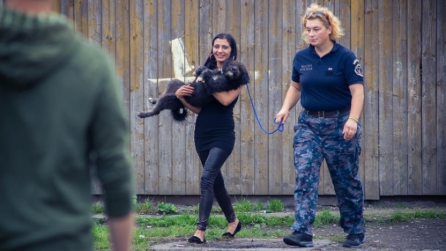 Mestská polícia takisto podala