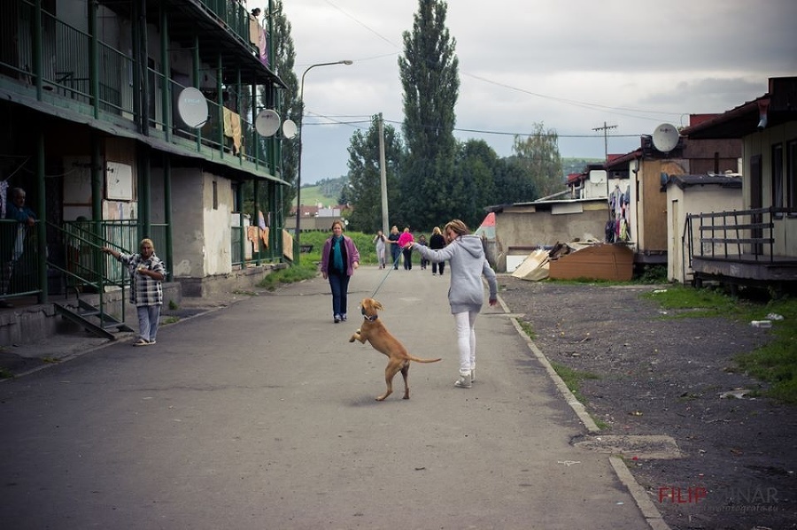 Fotografie z kastračnej akcii.