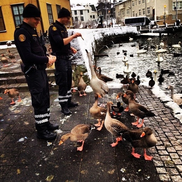 Polícia na Islande zrejme