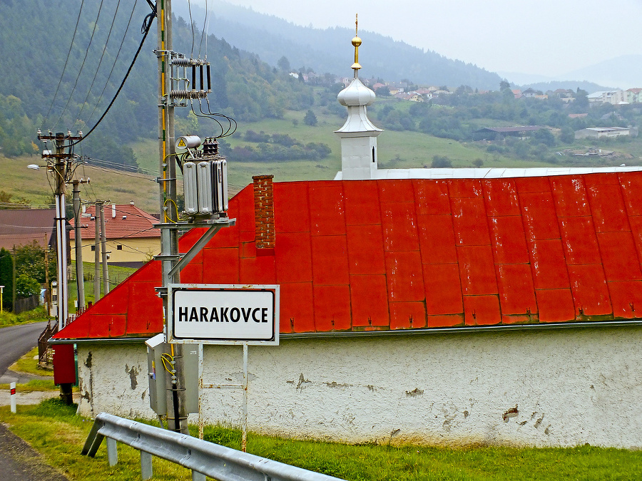 Doživotná starostka bez platu