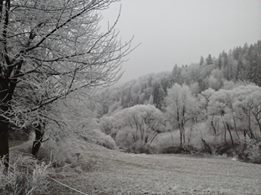 Slovensko dostáva pomaly svoju