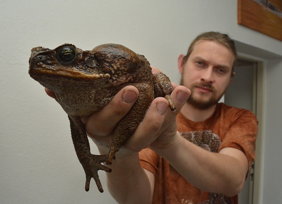 Milan Oselský neodporúča žaby